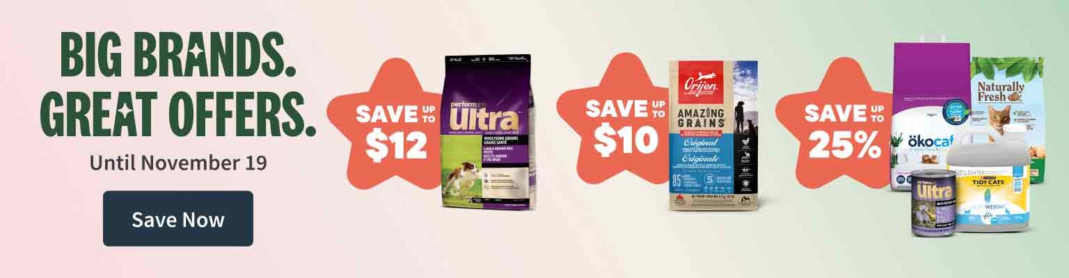 Fall Savings, Offers end November 5. Save Now