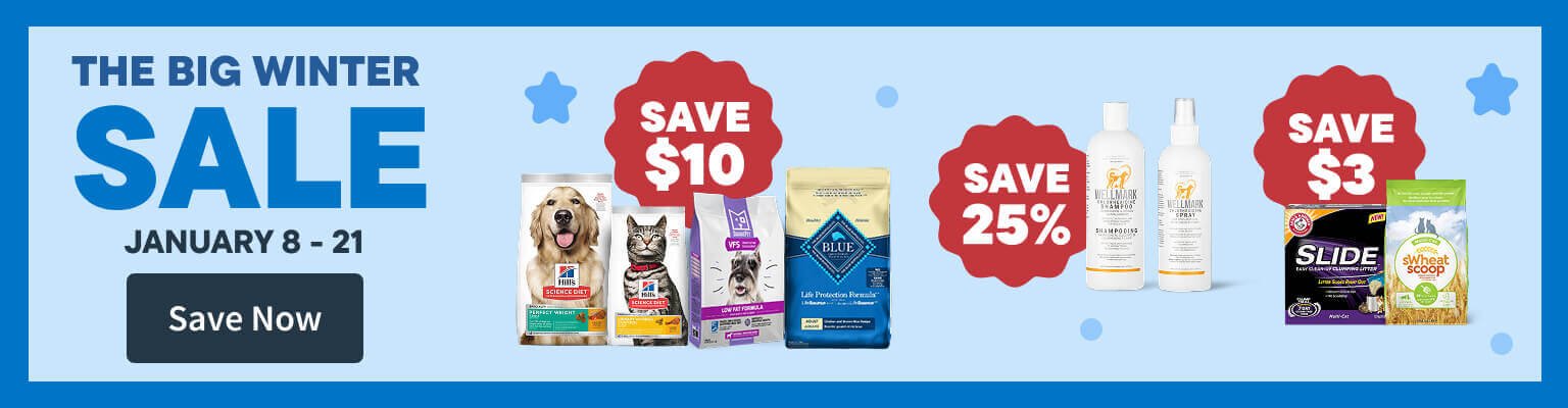 Flyer Saving until Jan 21. Save Now