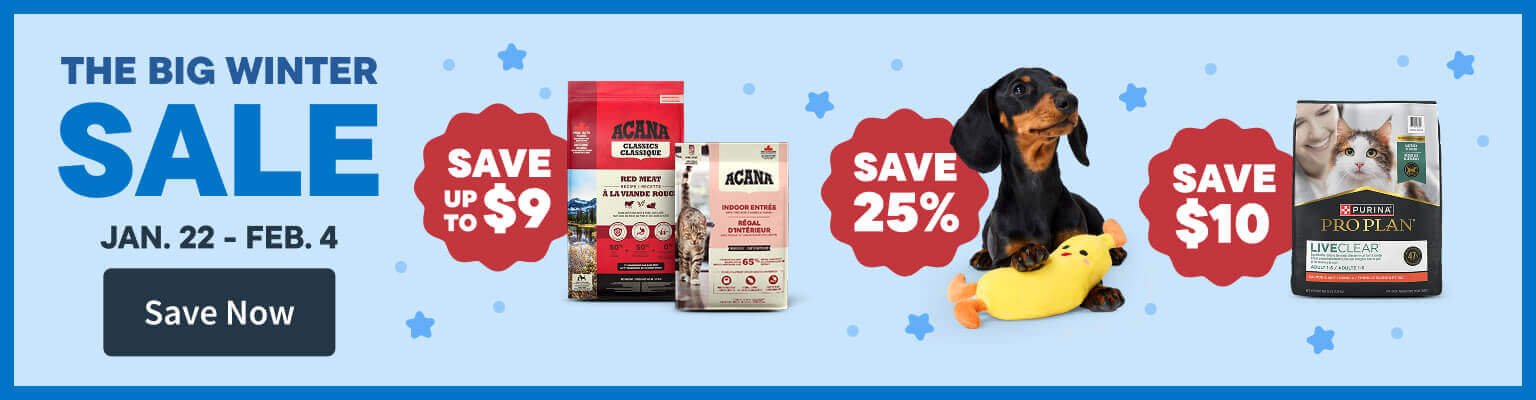 Flyer Saving until Feb 4. Save Now