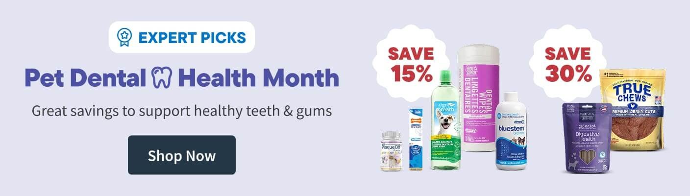 Dental Health Month