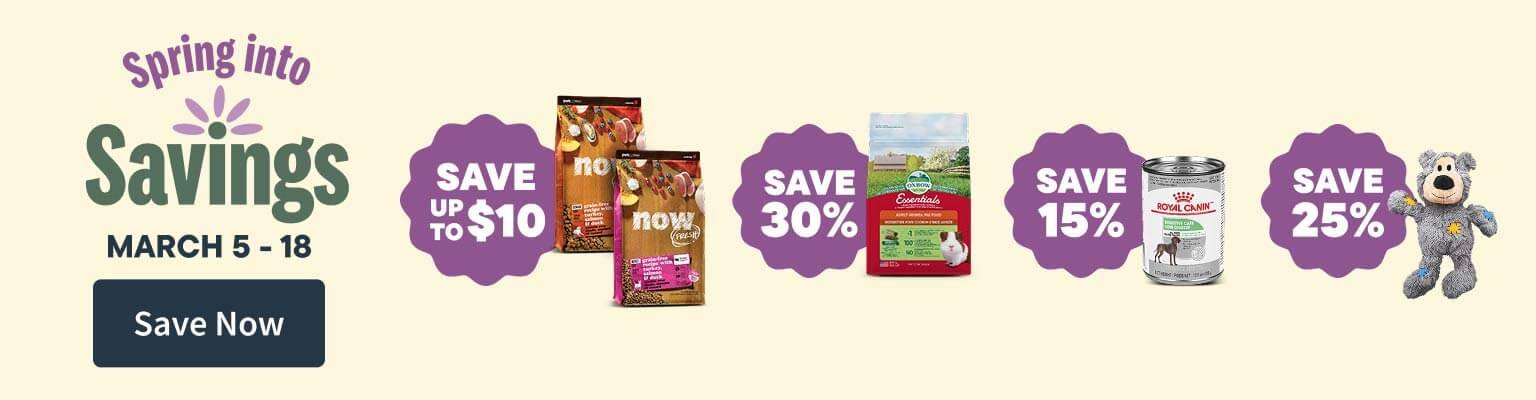 Flyer Saving until March 18. Save Now